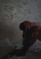 a1.transy-msk.me